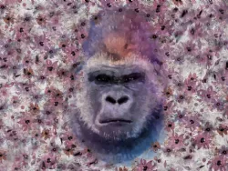 Monkey Kong