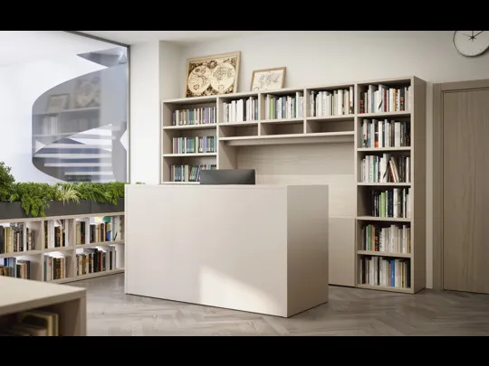 Libreria 17A